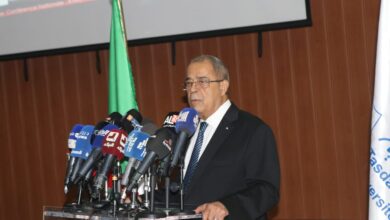 Ali Aoun: The production of zinc and lead requires control over modern technologies - Algerian Dialogue