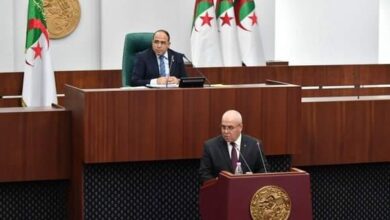 Maritime transport: Work on establishing internal sea lines to transport passengers - Algerian Al-Hiwar