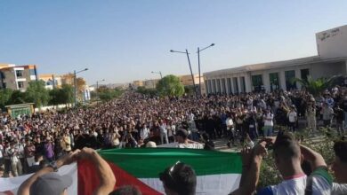 The Algerian Student Organization organizes marches and stands in solidarity with Gaza - Algerian Dialogue