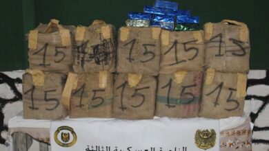 Toll... 11 members of support for terrorist groups were arrested and 19 quintals of Moroccan kif were seized - Algerian Dialogue