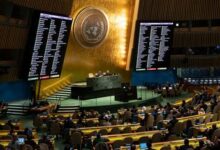 What does the UN General Assembly resolution mean?  - Algerian dialogue