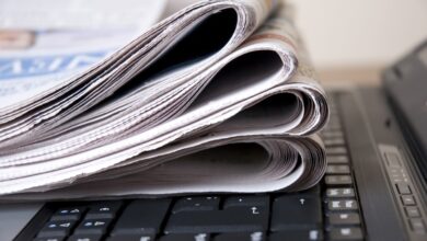 Subjecting the establishment of electronic newspapers to a permit system instead of accreditation