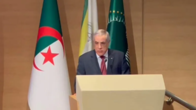 Al-Arbawi: President Tebboune worked to establish the state of rights and law - Algerian Dialogue
