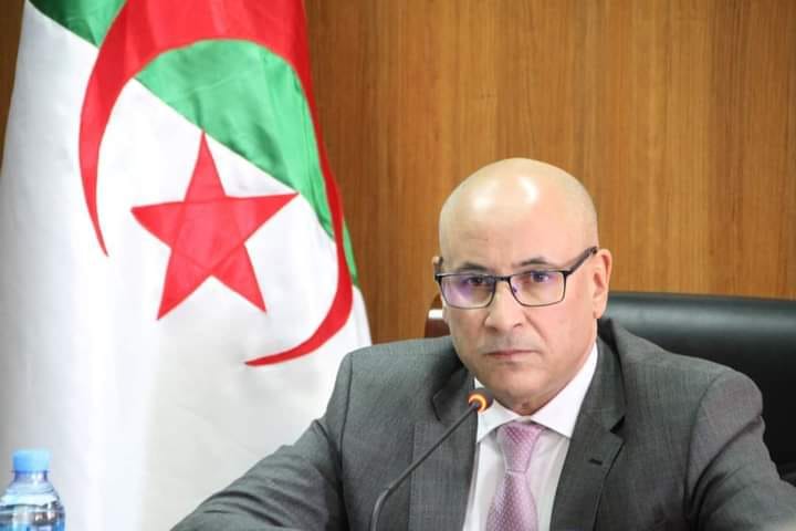 Olive: There are about 275 types of dates in Algeria - Al-Hawar Algeria