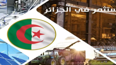 The National Investment Promotion Agency registers more than 4,000 authorized projects within one year - Algerian Dialogue