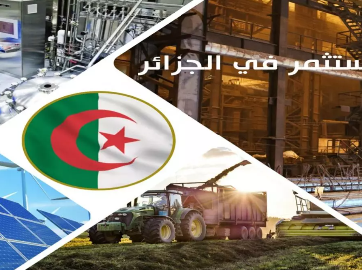 The National Investment Promotion Agency registers more than 4,000 authorized projects within one year - Algerian Dialogue