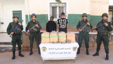 Toll: 12 members of support for terrorist groups were arrested and 7 quintals and 44 kg of Moroccan kif were seized - Algerian Dialogue