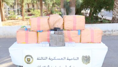 Toll: 5 members of support for terrorist groups arrested and quantities of Moroccan kif seized - Algerian Dialogue