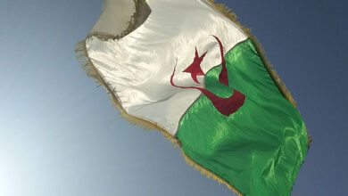 Algeria has been subjected to attempts to undermine the authorities and divert the course of education