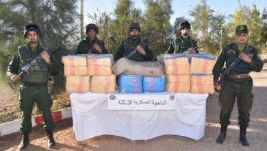 Toll: 12 members of support for terrorist groups were arrested and 13 quintals and 32 kg of Moroccan kif were seized - Algerian Dialogue