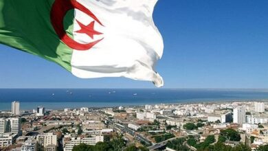 Algeria elected to a senior position in the Organization for the Prohibition of Chemical Weapons - New Algeria