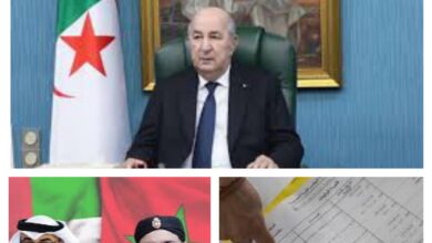 Emirati-Moroccan apprehension about the pre-elections in Algeria - New Algeria