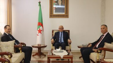 Inserting new specializations in training centers in this state - New Algeria