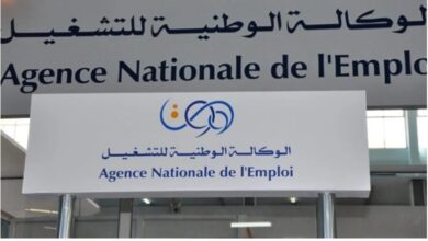 Local employment agencies announce the update of employee files from the unemployment grant - Algerian Dialogue