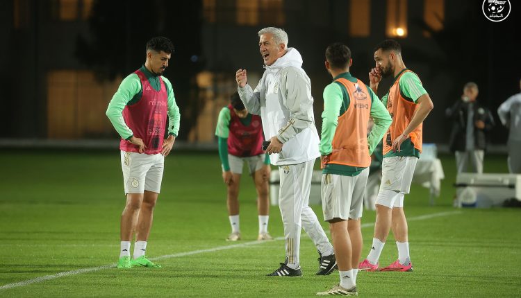 Petkovic focuses on correcting the mistakes of the Algerian national team - the new Algeria