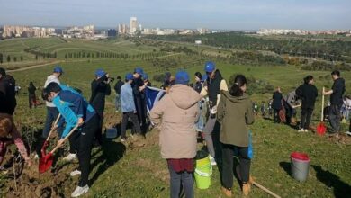 The Algerian-Chinese Friendship Association...planting 500 trees in the “Great Wind” Park in Dali Ibrahim - Algerian Dialogue