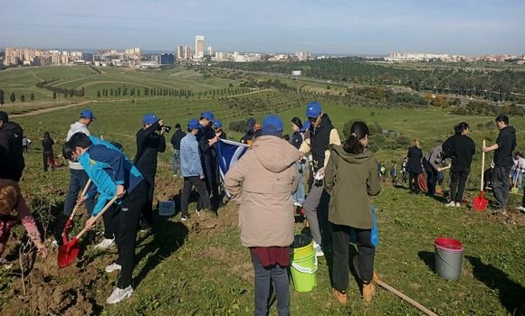 The Algerian-Chinese Friendship Association...planting 500 trees in the “Great Wind” Park in Dali Ibrahim - Algerian Dialogue