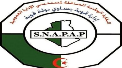 This is Sinabab's response to the content of the Basic Law - New Algeria