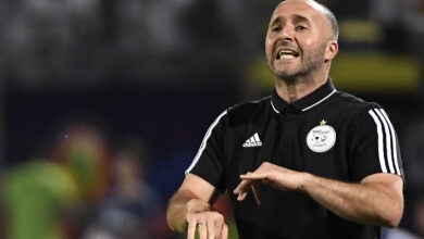 Belmadi is proposed to the administration of Marseille - the new Algeria