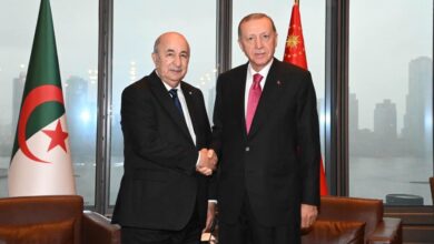 President Tebboune talks with his Turkish counterpart by phone - New Algeria