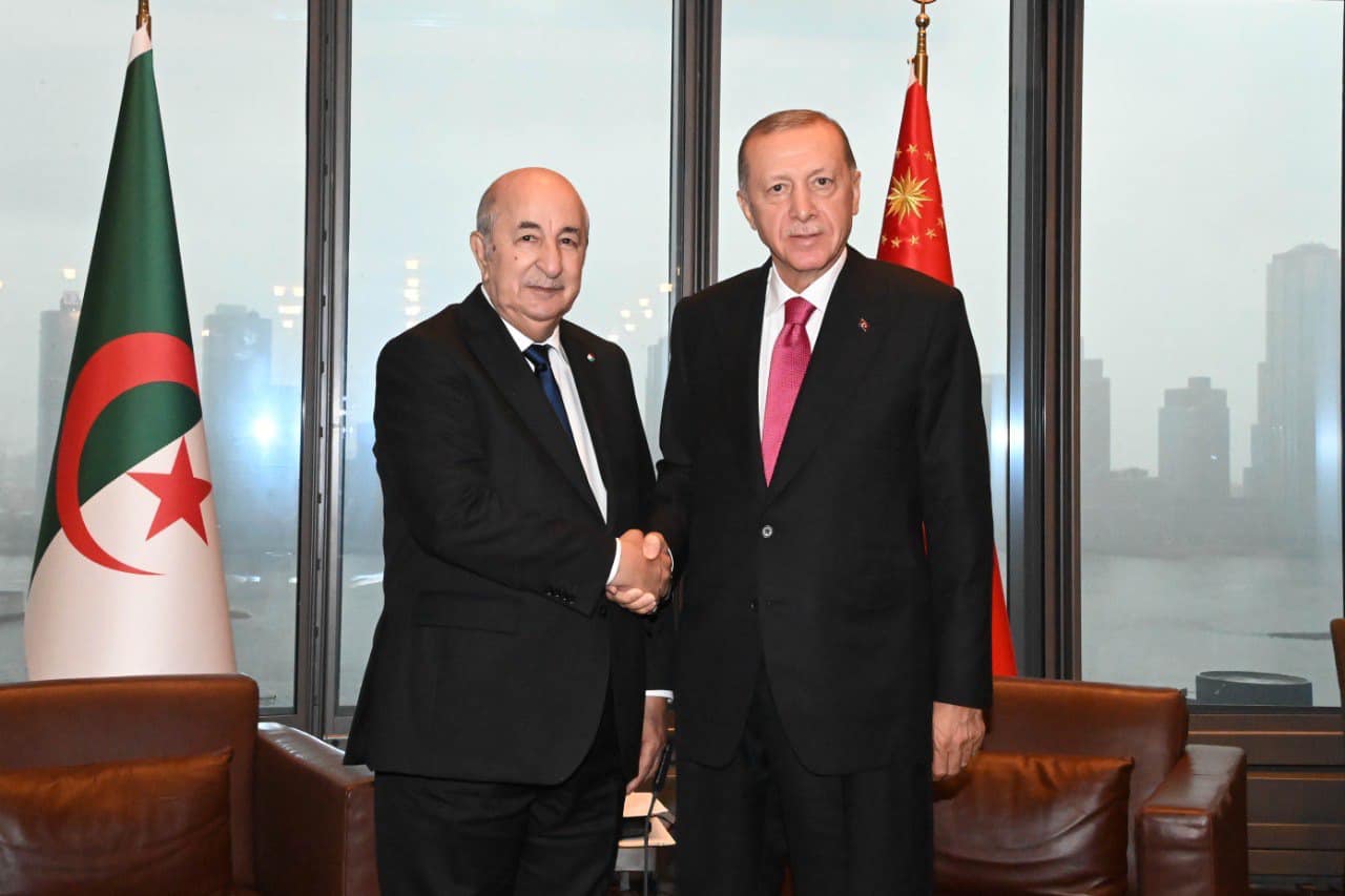 President Tebboune talks with his Turkish counterpart by phone - New Algeria