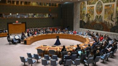 At the initiative of Algeria, the Security Council calls for an investigation into mass graves in Gaza