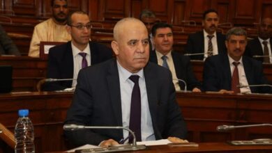 Balcony: The map of natural capabilities in the south will contribute to activating the national plan for the development of strategic agriculture - Algerian Dialogue