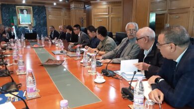 In pictures: Arkab chairs a meeting on lithium exploration in Tamanrasset and Ain Guezzam - Algerian Dialogue