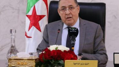 The Minister of Interior participates in a meeting on illegal immigration in Rome - New Algeria