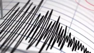 A 4-magnitude earthquake was recorded in Jijel - New Algeria