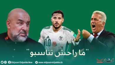 Ben Sheikha: “Petkovic will not marry Lele to talk about his discipline” - New Algeria