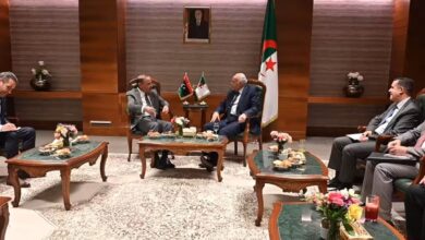 The Foreign Minister holds bilateral meetings with his African counterparts - New Algeria