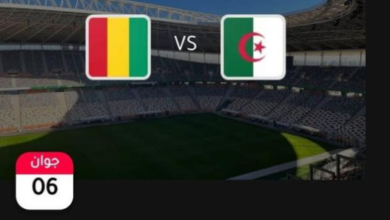 The start of selling tickets for the match between the national team and Guinea - New Algeria