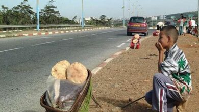 This is the percentage of child labor in Algeria - New Algeria