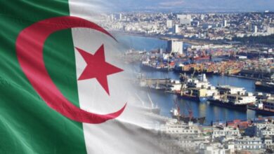 Algeria cannot be preyed upon by the hashtag - New Algeria