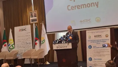 Chayeb participates in the work of the international workshop on renewable energies - New Algeria