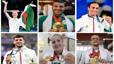 It witnessed coronations for the national teams... 2024 is a year full of sporting achievements - Algerian Dialogue