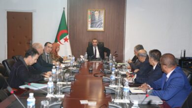 Saeed supervises a working session - New Algeria