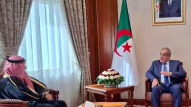 The Prime Minister receives the Ambassador of the Kingdom of Saudi Arabia - New Algeria