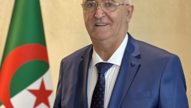 Fayed: 2025 is the year that prosperity will be achieved and purchasing power will be protected - Algerian Dialogue